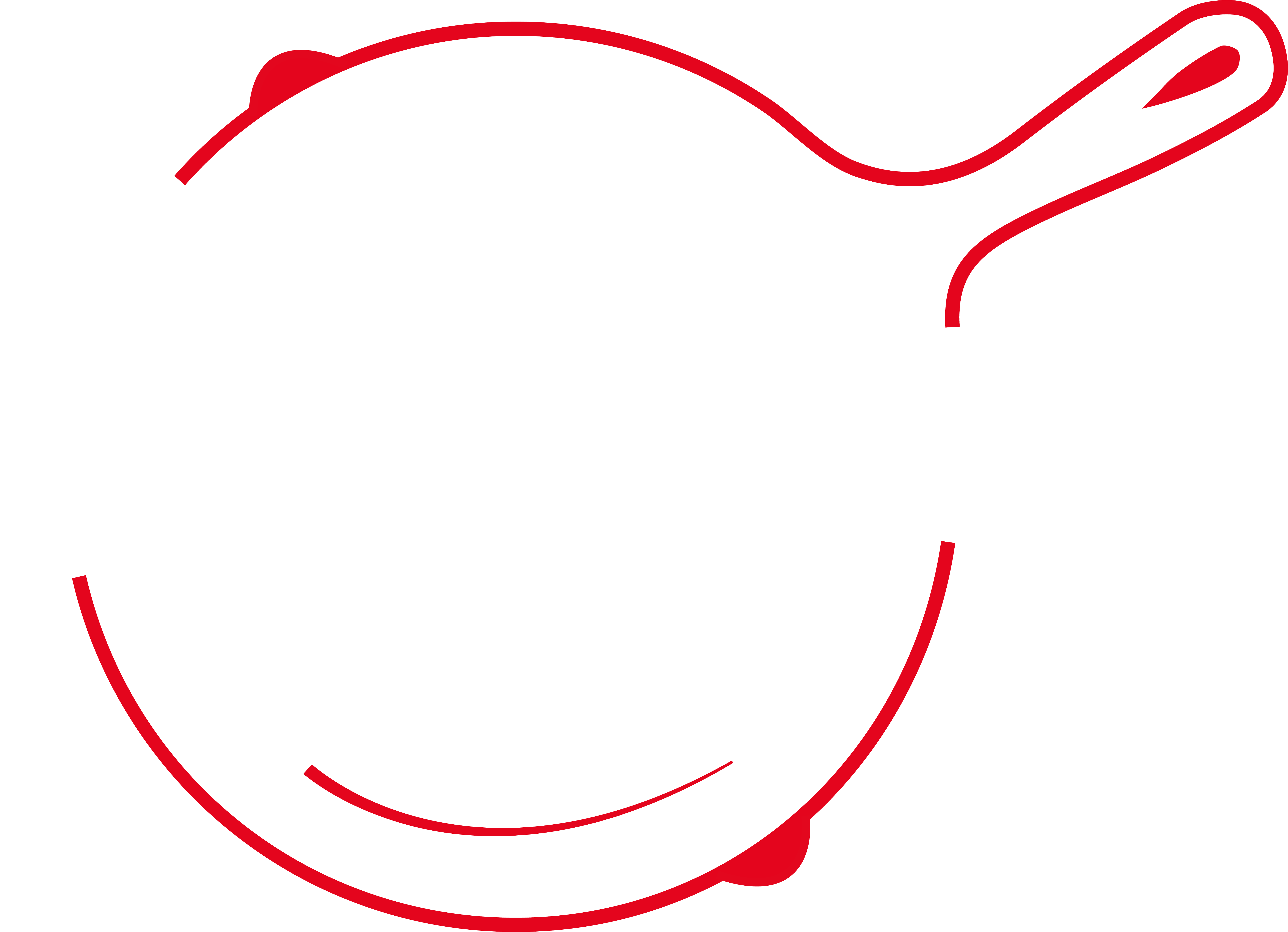 Freddes Mat logo